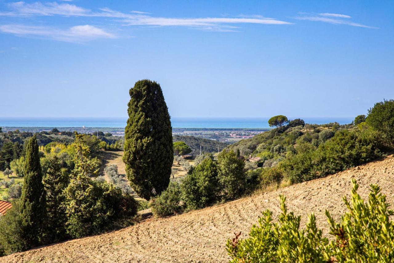 Villa Cesarina Amazing Villa With Private Pool In The Tuscan Hills Casale Marittimo Exterior foto